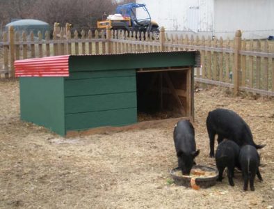 Adding Color to Recycled Mulefoot Pig and Chicken Houses Image